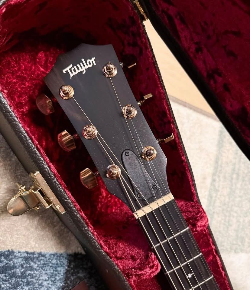 2002 Taylor 814 LTD Cocobolo acoustic guitar